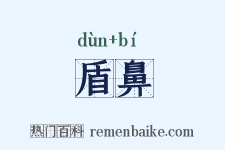 盾鼻是什么意思的图片